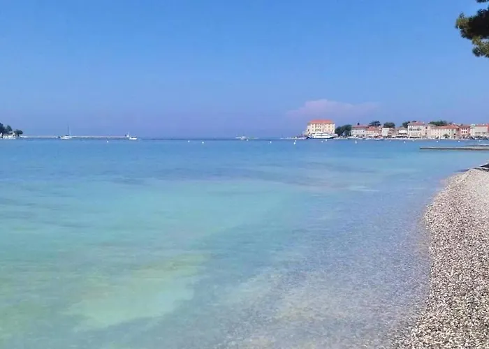 Pinia-marina بوريتش