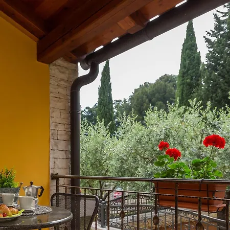 Pinia-marina פורץ